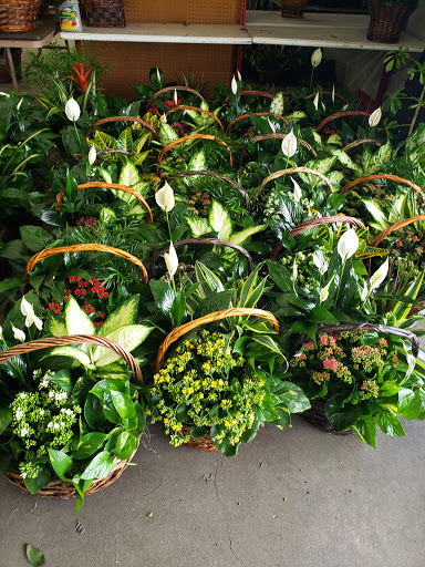 Florist «Flower Patch», reviews and photos, 1595 W 9000 S, West Jordan, UT 84088, USA