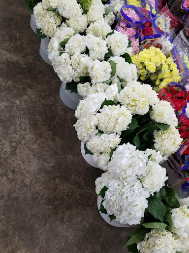 Florist «Salem Wholesale Flowers», reviews and photos, 1750 Fairgrounds Rd NE, Salem, OR 97301, USA