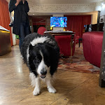 Photo n°4 de l'avis de Terence.a fait le 17/10/2022 à 11:50 sur le  Hotel Catullo à Sirmione