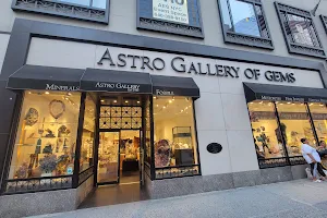 Astro Gallery of Gems, Minerals and Fossils image