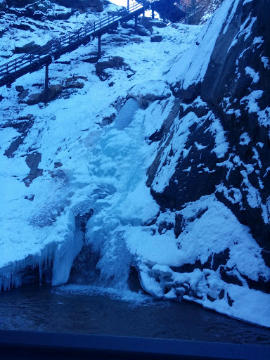 Tourist Attraction «Broadmoor Soaring Adventure», reviews and photos, 6 Lake Ave, Colorado Springs, CO 80906, USA