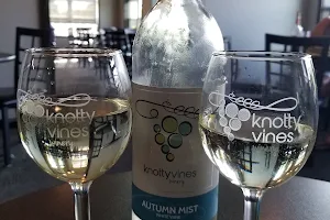 Knotty Vines Farm & Winery image