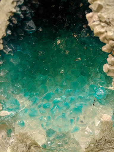 Pet Supply Store «Pet Supermarket, Inc.», reviews and photos, 598 N McCarran Blvd, Sparks, NV 89431, USA