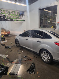 WORLD'S BEST TiNTiNG