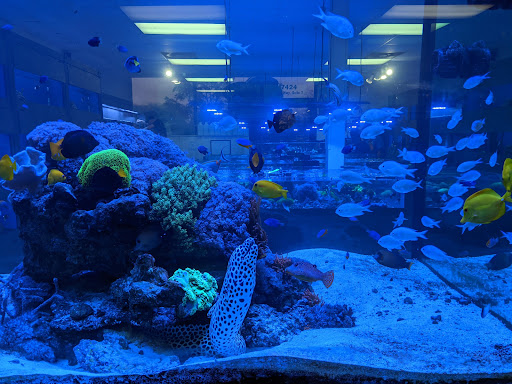 Pet Store «Aqua Hut», reviews and photos, 17424 Airline Hwy #7, Prairieville, LA 70769, USA