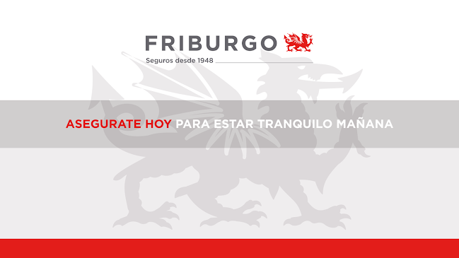 Opiniones de Friburgo Seguros en Montevideo - Agencia de seguros