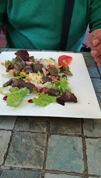 Salade grecque du Restaurant Le Jardin de l'Estagnol à Carcassonne - n°2