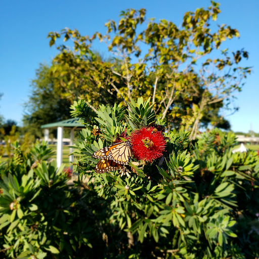 Park «Matzke Park», reviews and photos, 13110 Jones Rd, Houston, TX 77070, USA