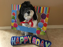 Pete and Mac’s Pet Resort - Photo 1 - Car repair in Avondale, AZ, Glendale