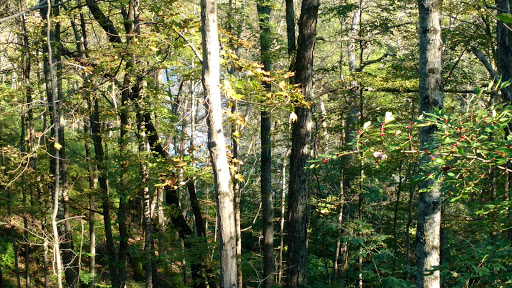 Park «Carter Park», reviews and photos, 1720 King Ave, Kings Mills, OH 45034, USA