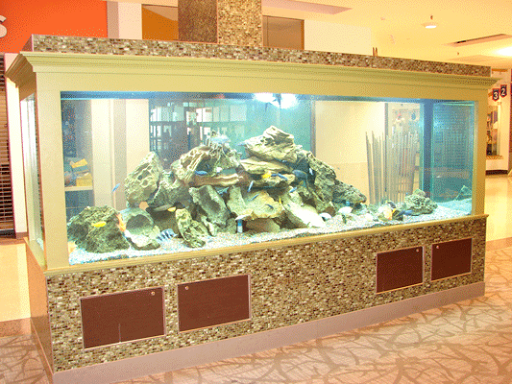 Aquarium «Fargo Aquariums», reviews and photos, 2220 Main Ave E f, West Fargo, ND 58078, USA