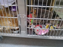 PetSmart - Photo 5 - Car repair in Sandy, UT, West Valley City