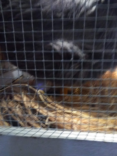 Non-Profit Organization «Interactive Neighborhood for Kids (INK)», reviews and photos, 999 Chestnut St SE, Gainesville, GA 30501, USA