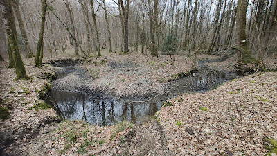 Bois Dérue à Olizy-Primat