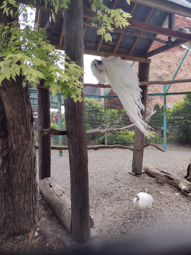 Candle Store «Warm Glow Candle Store», reviews and photos, 2131 N Centerville Rd, Centerville, IN 47330, USA