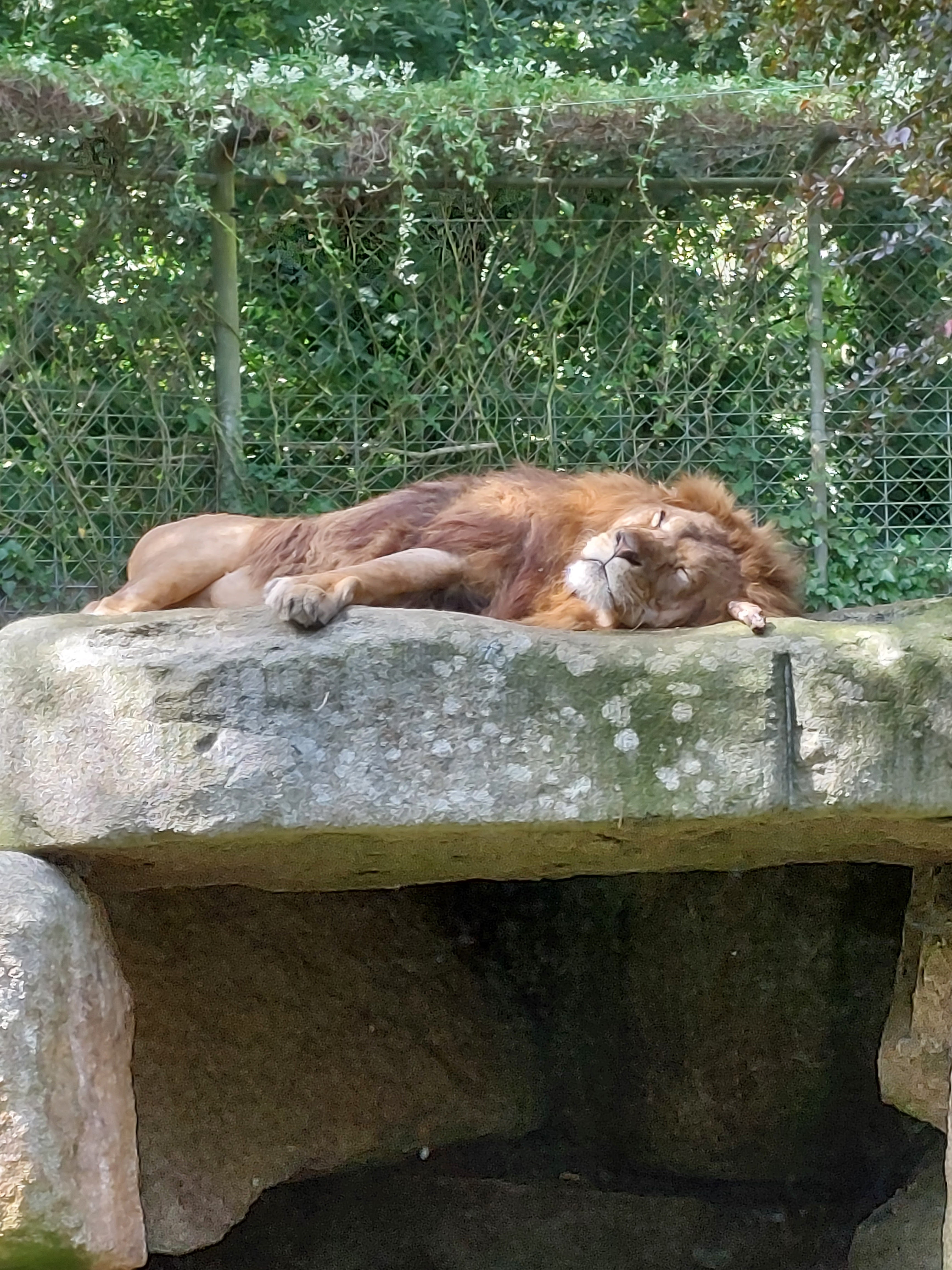Photo n° 3 de l'avis de jean.h fait le 07/09/2023 à 14:59