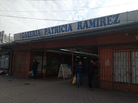 Galeria Patricia Ramirez Ni