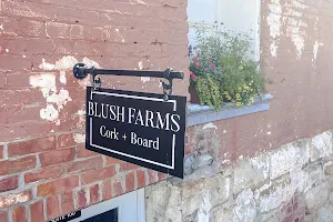 Blush Farms Cork + Board image