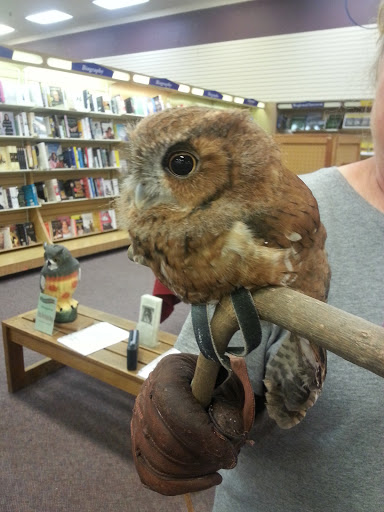 Book Store «Books-A-Million», reviews and photos, 8507 Kingston Pike, Knoxville, TN 37919, USA