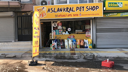 Aslan Kral Pet Shop