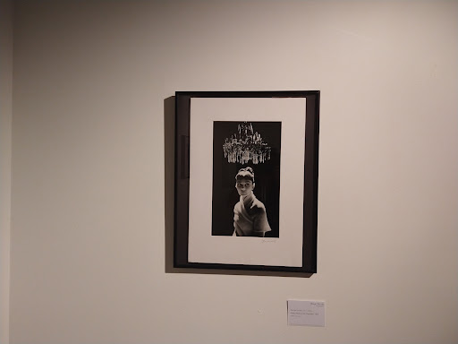 Art Museum «World Erotic Art Museum», reviews and photos, 1205 Washington Ave, Miami Beach, FL 33139, USA