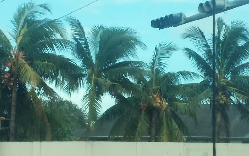 Country Club «Miccosukee Golf & Country Club», reviews and photos, 6401 Kendale Lakes Dr, Miami, FL 33183, USA