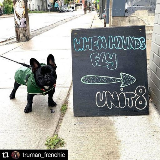 When Hounds Fly (Queen West)