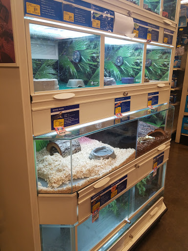 Aquarium shop Henderson