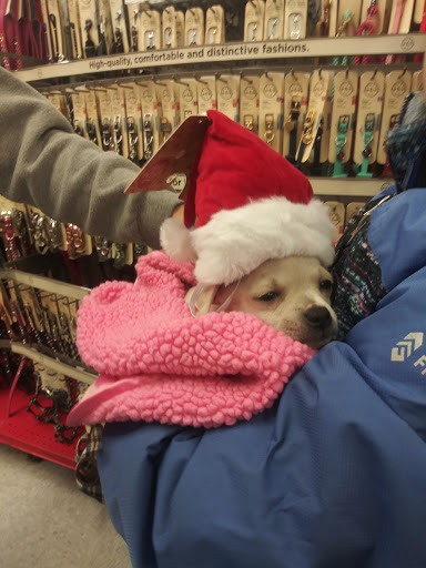 Pet Supply Store «Petco Animal Supplies», reviews and photos, 1660 Orchard Gateway Blvd, North Aurora, IL 60542, USA