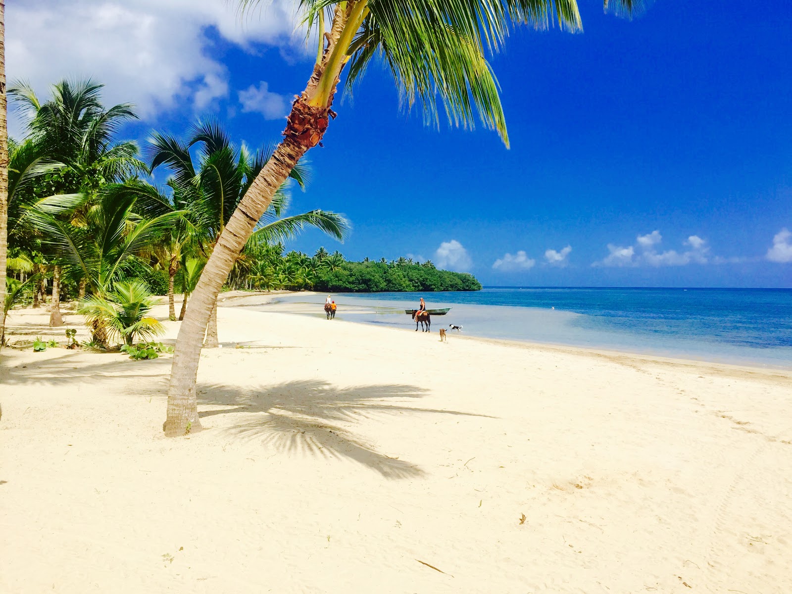 Foto af Playa Estillero med lys fint sand overflade