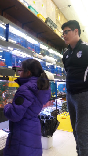 Pet Store «Petland Discounts - New Rochelle», reviews and photos, 216 North Ave, New Rochelle, NY 10801, USA