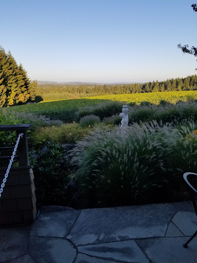 Winery «Ardiri Winery & Vineyards», reviews and photos, 35040 Southwest Unger Road, Cornelius, OR 97113, USA