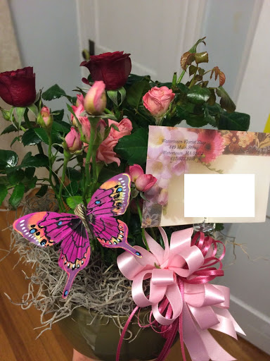 Florist «Watertown Florist Shop», reviews and photos, 449 Main St, Watertown, MA 02472, USA