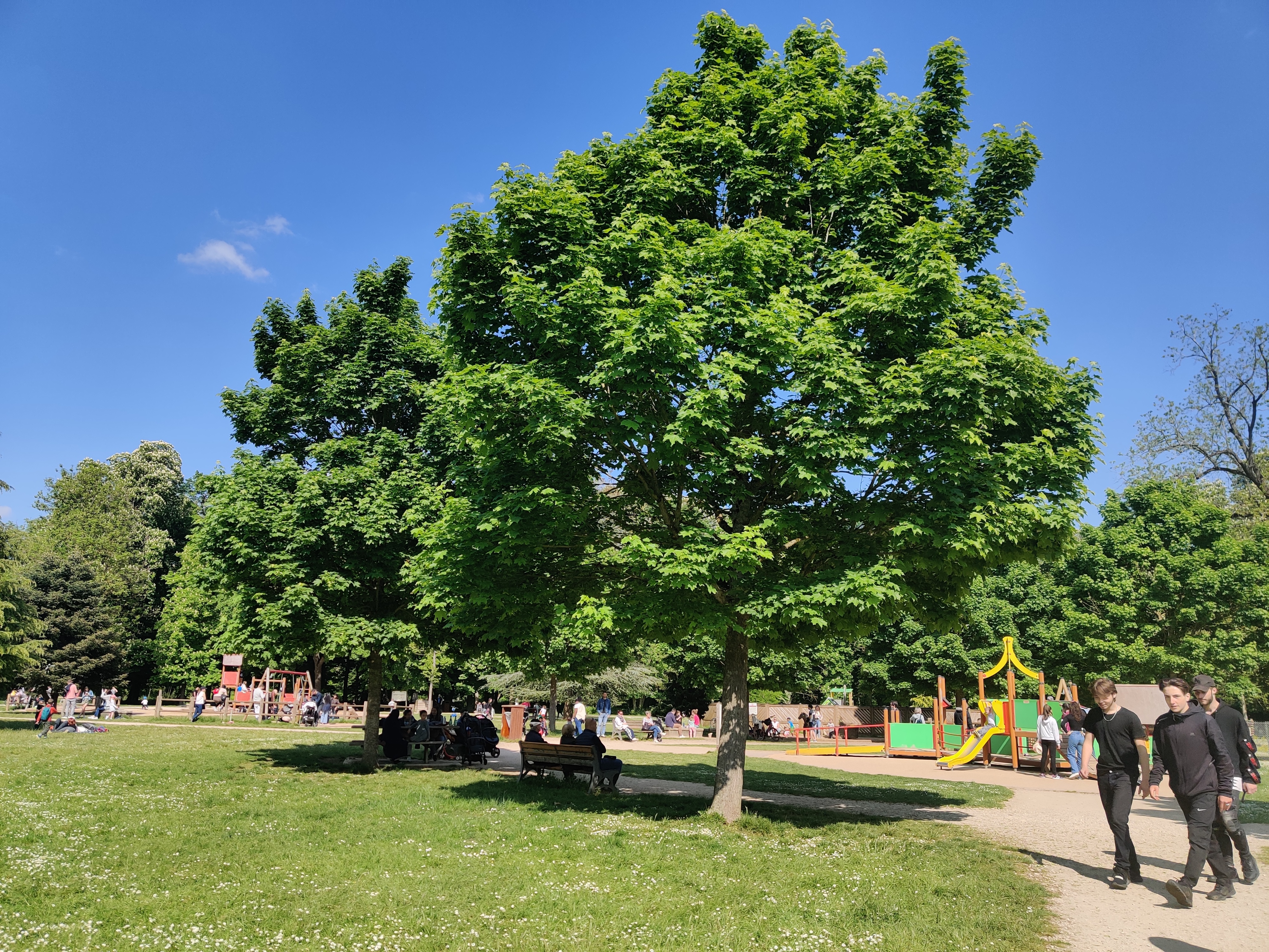 Photo n° 3 de l'avis de Carole.r fait le 01/05/2022 à 15:15