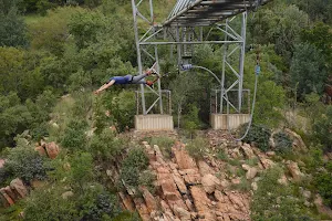 Bungee Mogale image