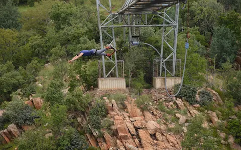 Bungee Mogale image