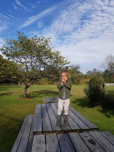 Gourmet Grocery Store «Max Hansen Carversville Grocery», reviews and photos, 6208 Fleecy Dale Rd, Carversville, PA 18913, USA