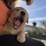 Photo n°6 de l'avis de Tamara.o fait le 28/10/2021 à 14:29 sur le  Herdade da Matinha à Matinha