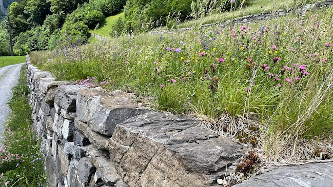 Rezensionen über Lamur GmbH in Bern - Gartenbauer