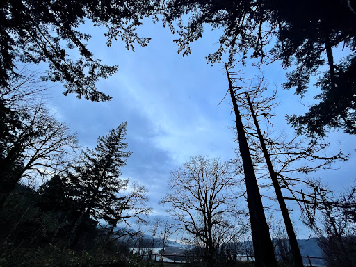 Tourist Attraction «Bridal Veil Falls», reviews and photos, E Crown Point Hwy, Bridal Veil, OR 97010, USA