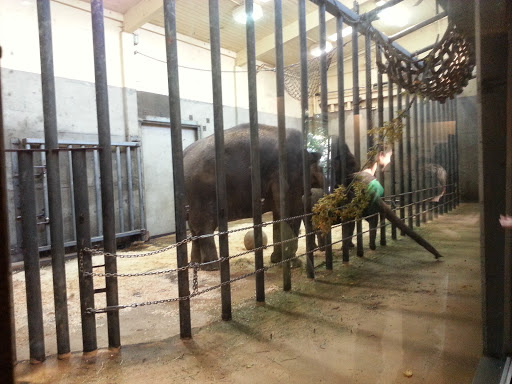 Zoo «Oregon Zoo», reviews and photos, 4001 Southwest Canyon Road, Portland, OR 97221, USA