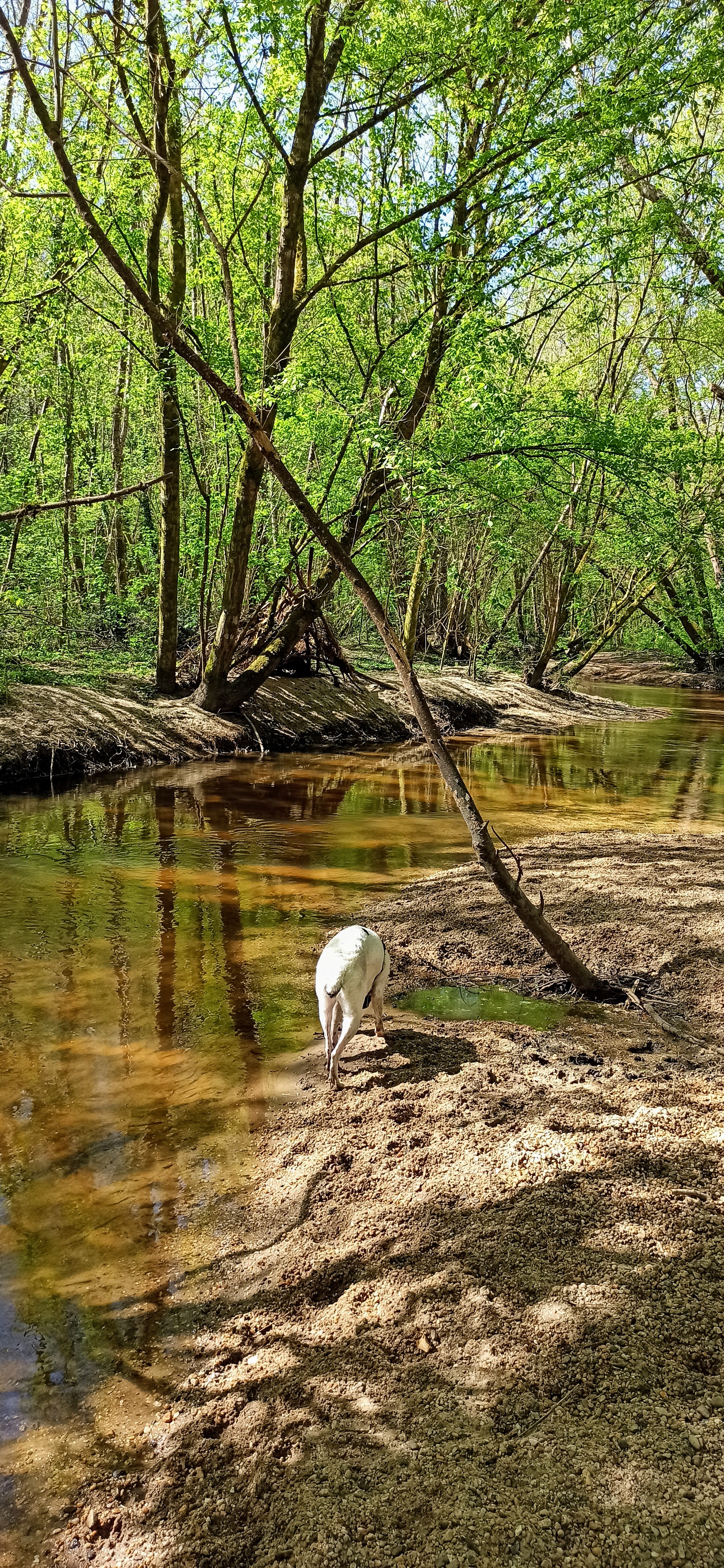 Photo n° 7 de l'avis de Sylvia.U fait le 05/04/2021 à 18:27