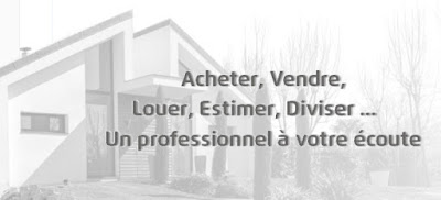 Safti Ligonniere Immobilier à Santeny
