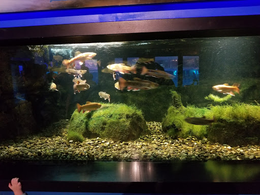 Aquarium «Aquarium of Niagara», reviews and photos, 701 Whirlpool St, Niagara Falls, NY 14301, USA