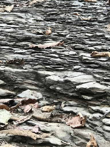 Park «Percy Warner Park», reviews and photos, 7311 Tennessee 100, Nashville, TN 37221, USA