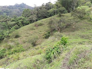 SALENTOUR CAFETERO - photo 1