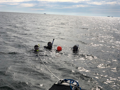 Dive Shop «Orbit Marine Sports Center Inc», reviews and photos, 3273 Fairfield Ave, Bridgeport, CT 06605, USA