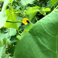 VITALITY Cincinnati - Photo 3 - Car repair in Cincinnati, OH, Cincinnati