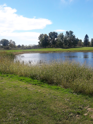 Public Golf Course «Reddeman Farms Golf & Banquets», reviews and photos, 555 S Dancer Rd, Chelsea, MI 48118, USA