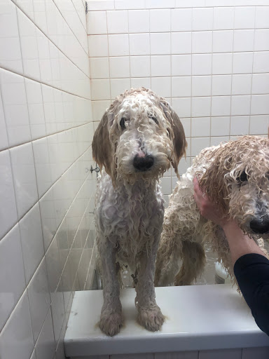 Pet Store «Feeders Supply», reviews and photos, 229 E Lewis and Clark Pkwy, Clarksville, IN 47129, USA